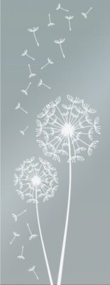 Disegno DANDELION per vetro, FIP Porte