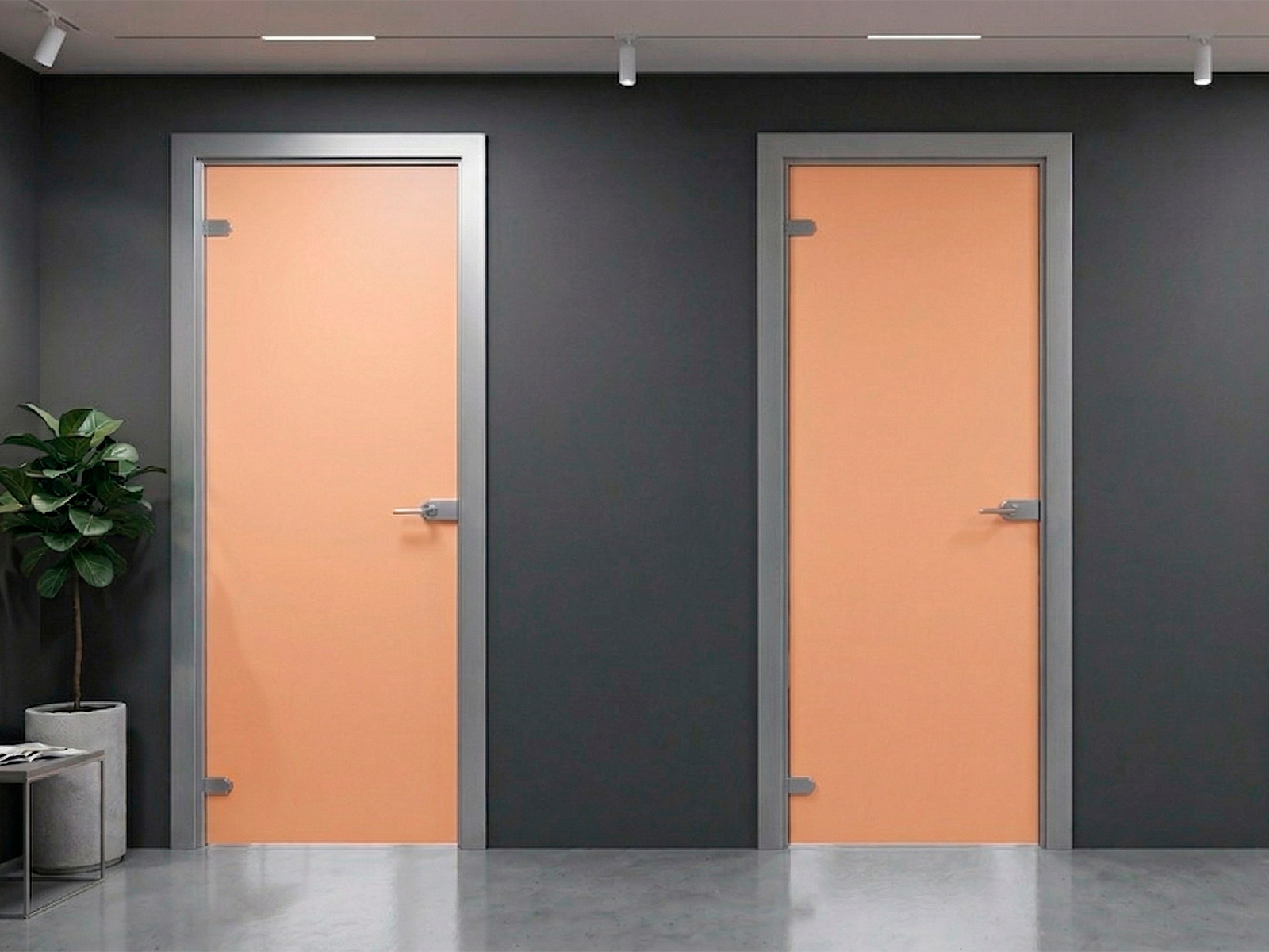 HPL door with frame aluminum 02