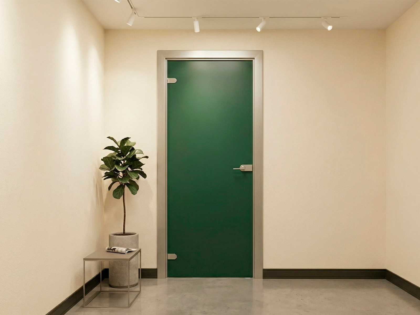 HPL Door with frame Aluminum FIP