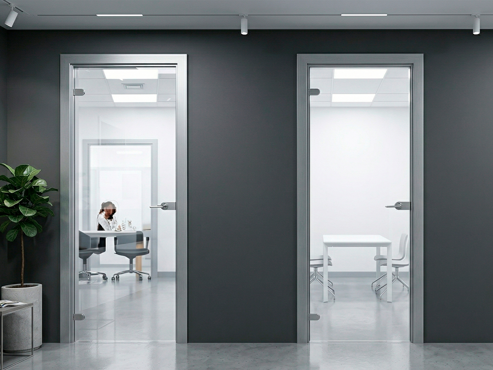 Glass doors with frame aluminum 04